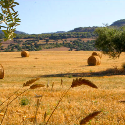 la-campagna-ragusana